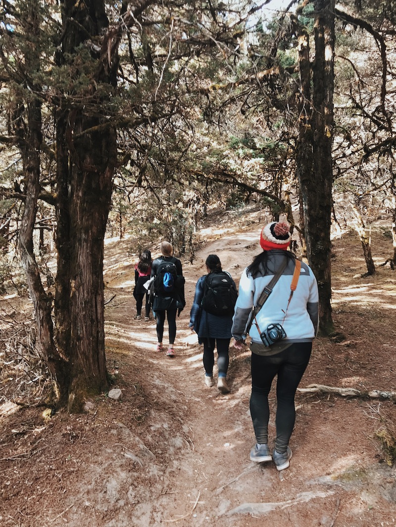 Bumdra Trek, Bhutan