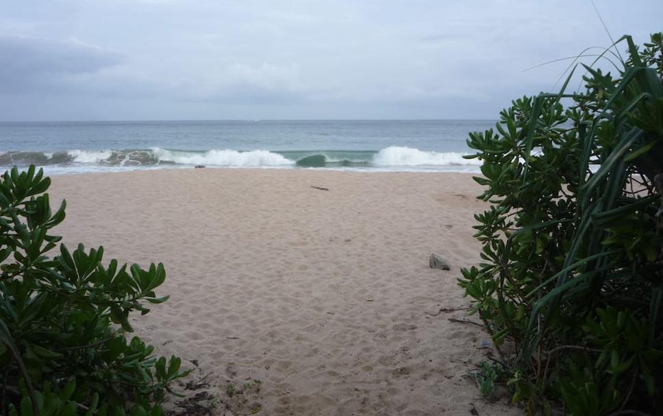 Beach Photo