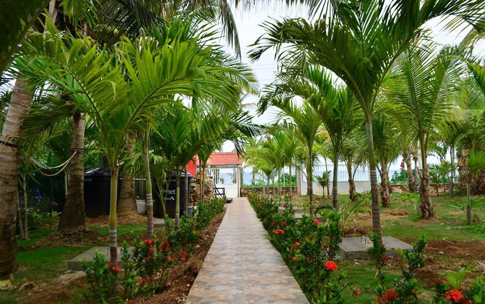 Hotel entrance Photo